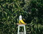 Modèle enfant de banane