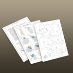 Papercraft de buste féminin en 3D