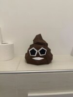 Papercraft de crotte amusante en 3D