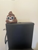 Papercraft de crotte amusante en 3D