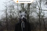 Papercraft masque de loup en 3D