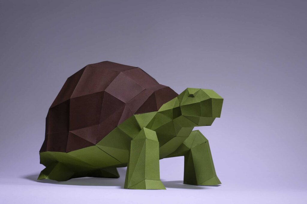 Papercraft tortue verte complète en 3D