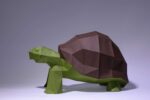 Papercraft tortue verte complète en 3D