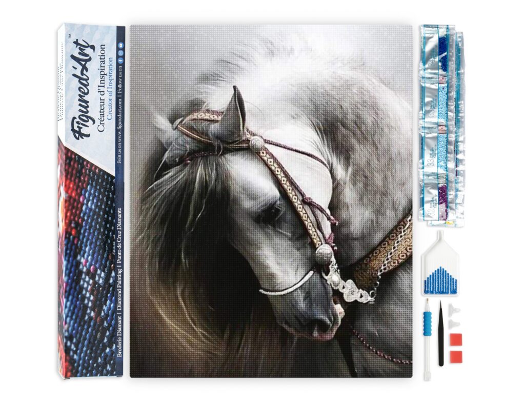Broderie Diamant - Cheval gris élégant