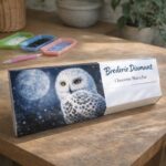 Broderie Diamant - Chouette Blanche