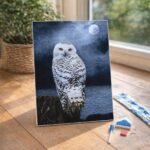 Broderie Diamant - Chouette Blanche