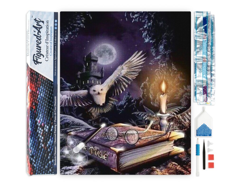 Broderie Diamant - Chouette dans la Nuit