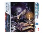 Broderie Diamant - Chouette dans la Nuit