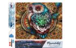 Broderie Diamant - Chouette précieuse