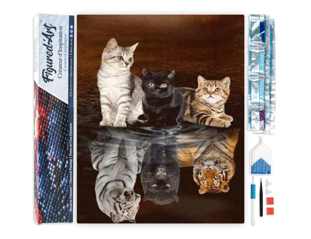 Broderie Diamant - Reflets Chatons