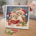 Mini Diamond Painting 25x25cm avec cadre - Chouettes Père Noël Lisant