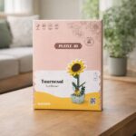 Puzzle 3D Joli Tournesol