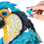 Puzzle en Bois Adulte - Toucan coloré