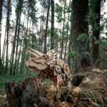 Dinosaure mécanique Triceratops